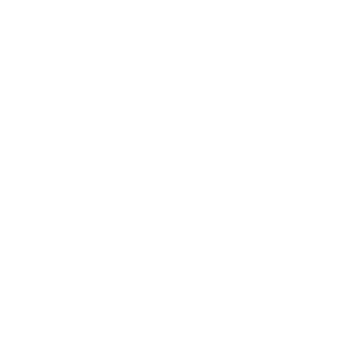 Best Supreme Award